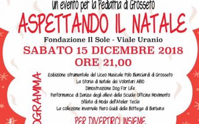 ASPETTANDO IL NATALE – Fondazione il Sole – Grosseto